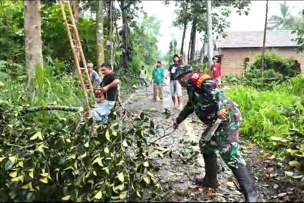 Babinsa Kelurahan Buring Kerja Bakti Bersama Warga Pangkas Pohon