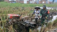 Babinsa Koramil Sukun dampingi petani tingkatkan produktivitas. (ist) - Babinsa Koramil Sukun Dampingi Petani Tingkatkan Produktivitas