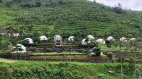 Cuaca Ekstrem, Okupansi Hunian Lembah Indah Gunung Kawi Menurun Saat Nataru 2025