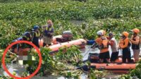Jasad Balita Wiyung Hanyut Telah Ditemukan di Kawasan Jembatan SMPN 34 Surabaya
