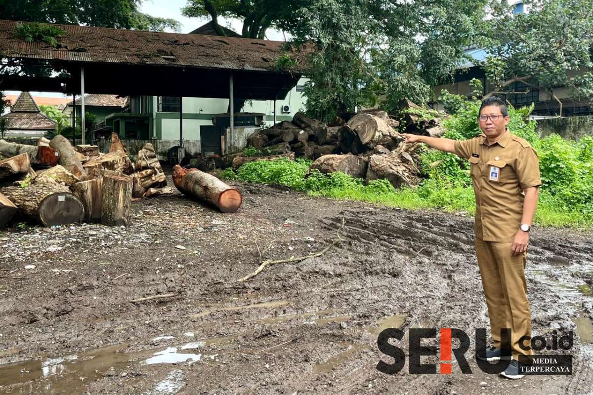 Kepala Bidang Ruang Terbuka Hijau DLH Kota Malang, Laode KB Al Fitra, sedang menunjukkan potongan pohon tumbang. (ws12) - Antisipasi Pohon Tumbang, DLH Kota Malang Pemeliharaan 76 Titik Selama Desember 2024