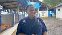 Peredaran Daging Kambing dan Domba Impor Ancam Peternak Lokal, HPDKI Buka Suara
