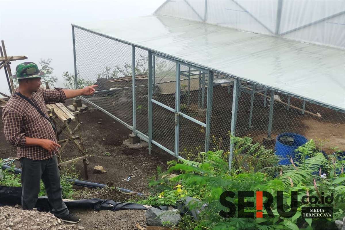 Ketua Poktan Sumadi, Nur Hidayat menunjukkan lokasi green house bantuan Bank Indonesia di lereng Gunung Arjuna. (rhd) - Binaan BI Malang, Kopi Arabika Gunung Arjuna 'Sumadi' Pasok Ekspor 12 Ton