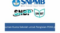Laman resmi SNPMB untuk pengecekan kuota SNBP 2025. (ist) - Kuota SNBP 2025 Resmi Diumumkan, Begini Cara Mengeceknya
