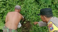 Bayi Laki-laki dengan Kondisi Tali Pusar Masih Menempel Ditemukan di Dekat Selokan