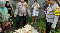 Jasad Bayi dengan Tali Pusar Masih Menempel Ditemukan di Dekat Kandang Ayam di Jember