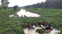 Tim Basarnas dan BPBD Kota Surabaya melakukan pencarian di sungai sekitar Perum Royal Residence, Wiyung Surabaya. (ist) - Balita Wiyung Hanyut Belum Ditemukan, Terjunkan 50 Personel Gabungan dengan 5 Perahu Karet