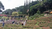 Taman Rekreasi Selecta Targetkan 30.000 Pengunjung Pada Musim Libur Nataru 2024-2025