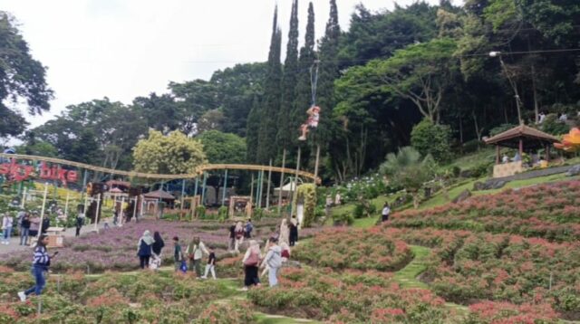 Taman Rekreasi Selecta Targetkan 30.000 Pengunjung Pada Musim Libur Nataru 2024-2025