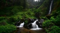 Wisata Hutan Raya (Tahura) Raden Soerjo. (ist) - Cuaca Ekstrem, Wisata Tahura Raden Soerjo Ditutup Sementara