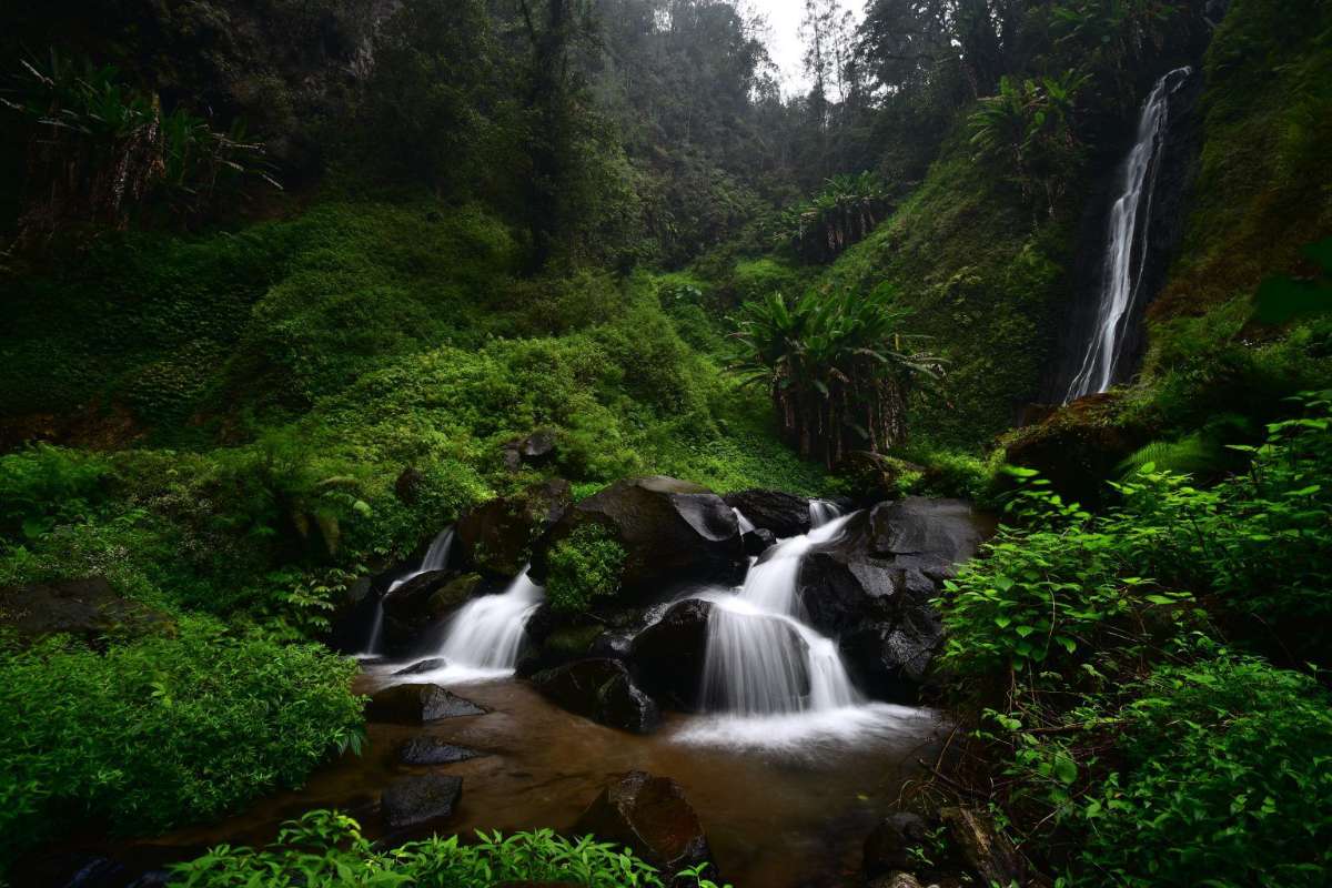 Wisata Hutan Raya (Tahura) Raden Soerjo. (ist) - Cuaca Ekstrem, Wisata Tahura Raden Soerjo Ditutup Sementara