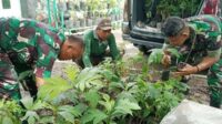 Babinsa Cemorokandang Bersama Warga Karya Bakti Tanam Pohon Sukun