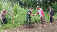 Babinsa Kedungkandang Bersama Warga Cemorokandang Tanam Pohon Sukun Cegah Banjir
