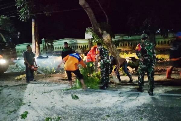 Babinsa Klojen dan DLH Kota Malang Sigap Evakuasi Pohon Tumbang di Bareng