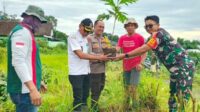 Babinsa Lowokwaru Turut Penanaman Pohon Sukun di Merjosari