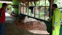 Antisipasi Bencana Hidrometeorologi, BPBD Kabupaten Malang Siapkan Empat Pos Lapangan