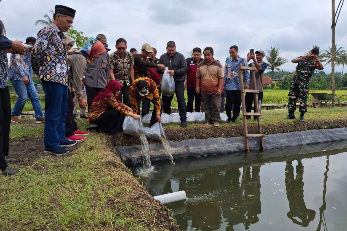 Bupati Malang, HM Sanusi memasukkan bibit ikan nila ke dalam kolam. (ist) - Bupati Sanusi Berharap Kesuksesan Peternakan Ikan Nila dan Jamur Turen Menular ke Kecamatan Lain