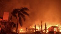Kebakaran Hutan di Los Angeles Meluas, Korban dan Kerugian Terus Bertambah