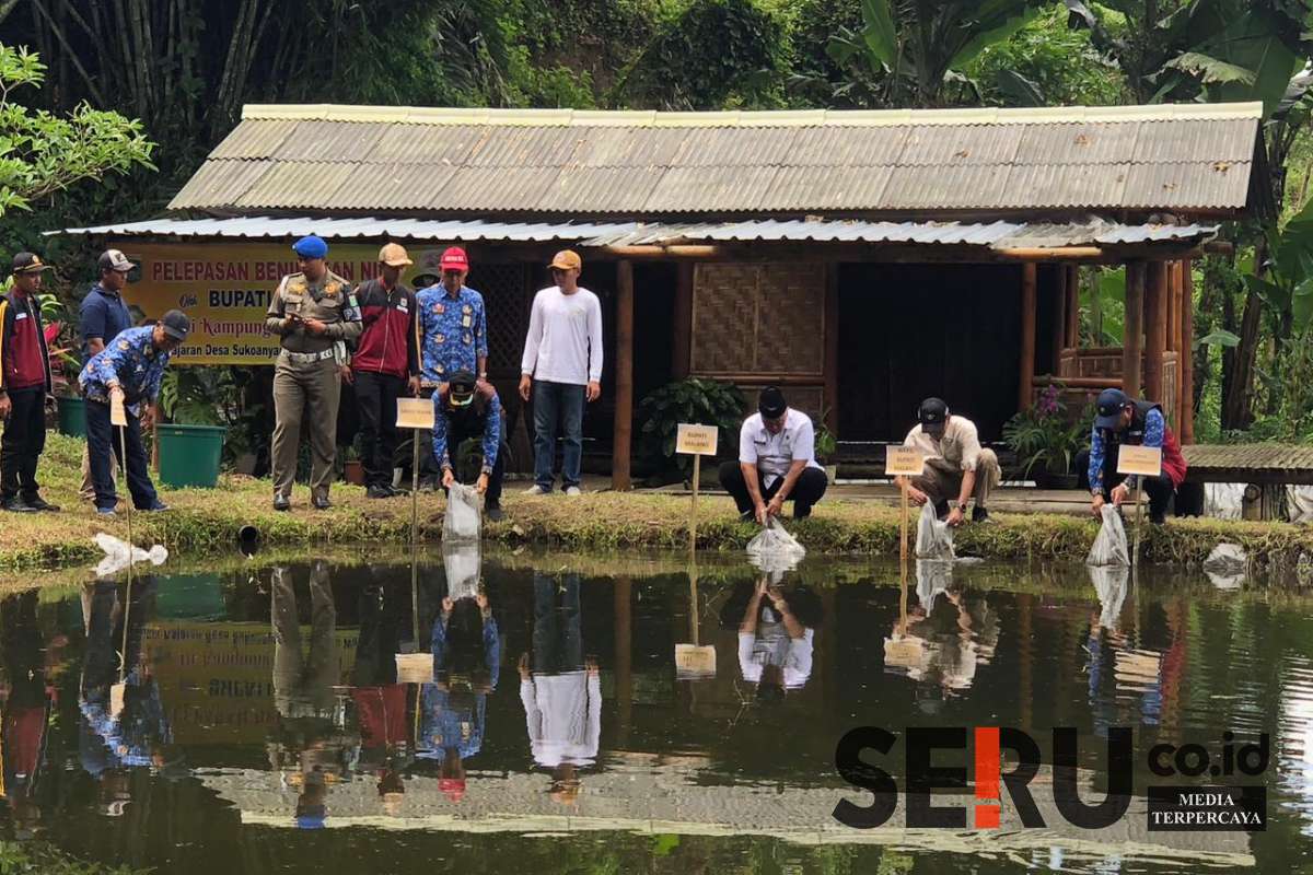 Ketika Sanusi beserta rombongan melepaskan bibit ikan nila di Kampung Wisata Kolam Ikan Krajan, Dusun Baran, Desa Sukoanyar. (Seru.co.id/wul) - Bupati Sanusi Sebut Potensi dan Semangat Masyarakat Wajak Sangat Luar Biasa