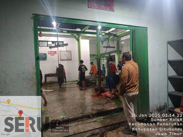 Komisi II DPRD Segera Panggil Disnakkan Terkait Dugaan Pungli UPT RPH Situbondo