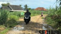 Kondisi jalan Dusun Sumbernongko, Kecamatan Pagak, Kabupaten Malang. (Seru.co.id/wul) - Rusak Parah, Warga Berharap Pemkab Malang Perbaiki Akses Utama di Dusun Sumberkerto Pagak