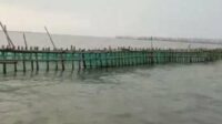 Pagar laut misterius sepanjang 30,16 km menghambat akses nelayan. (ist) - Misteri Pagar Laut 30,16 Km di Tangerang Mengancam Nelayan