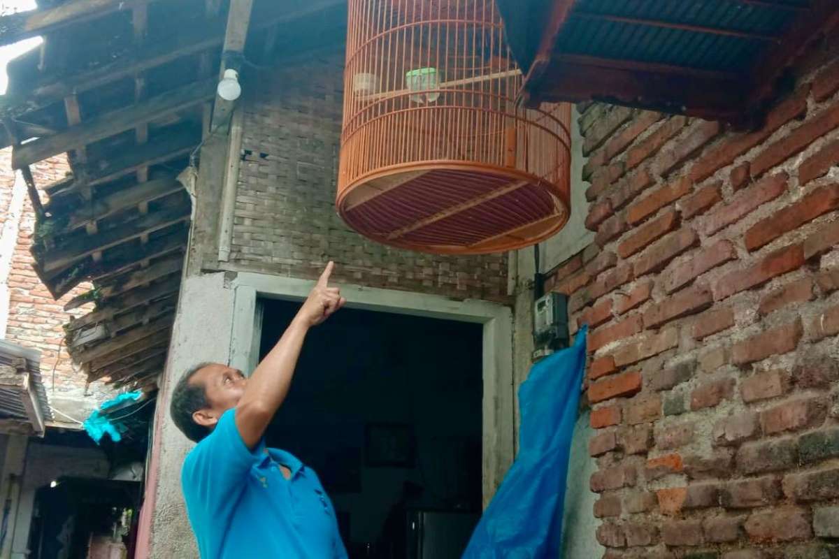 Pemilik burung, Sarip (55), sedang menunjukkan letak kandang dan burung yg digantung di dekat pintu rumahnya. (ist) - Dua Pria Gasak Burung Murai di Klojen Kota Malang, Aksi Terekam CCTV