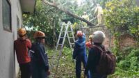 Bencana Akibat Angin Kencang Hantui Kota Batu