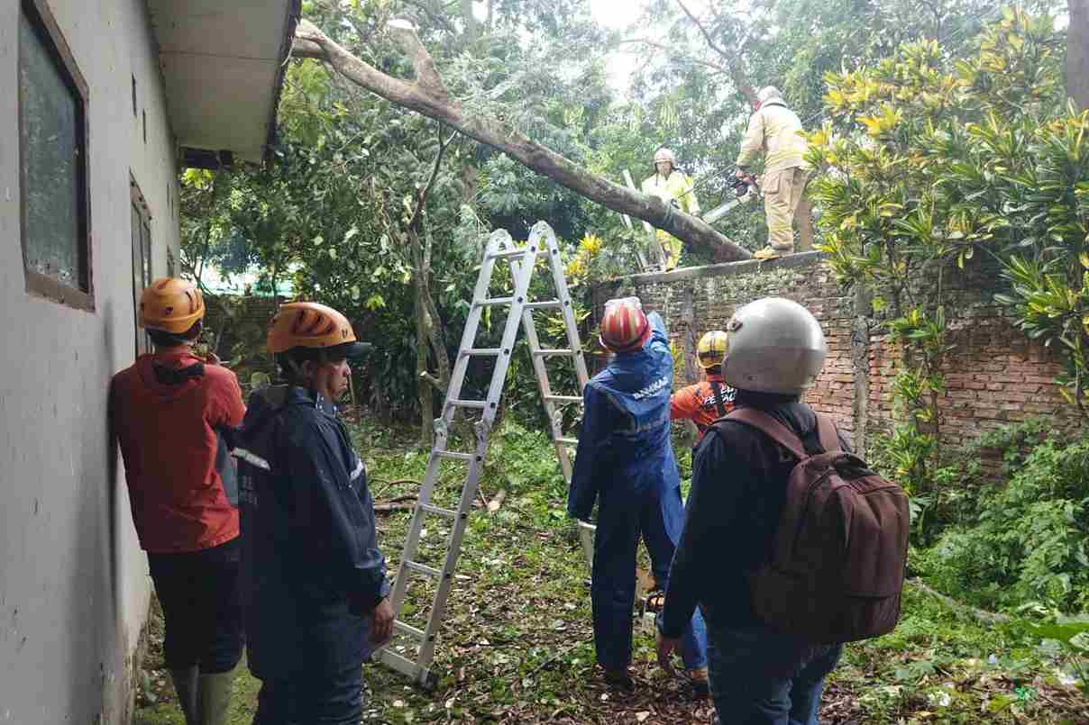 Bencana Akibat Angin Kencang Hantui Kota Batu