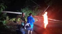 Pohon Tumbang dan Longsor di Jalan Gunung Geger Pagak Tutup Akses Warga