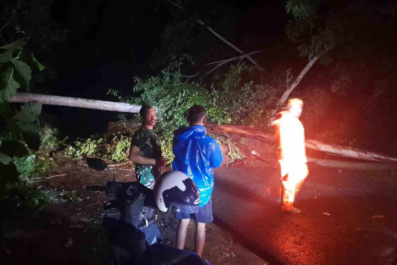 Pohon Tumbang dan Longsor di Jalan Gunung Geger Pagak Tutup Akses Warga