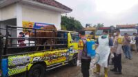 Polres Nganjuk Dukung Polsek Bagor dan Dinas Pertanian dalam Pencegahan PMK