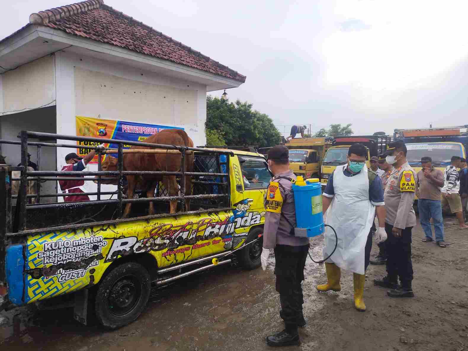 Polres Nganjuk Dukung Polsek Bagor dan Dinas Pertanian dalam Pencegahan PMK