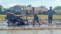 Babinsa Blimbing bantu petani Pandanwangi bajak sawah. (ist) - Babinsa Blimbing Bantu Petani Pandanwangi Bajak Sawah