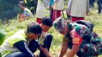 Babinsa Pandanwangi Bersama Siswa-Siswi SMPN 24 Malang Tanam Pohon Buah