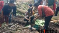 Bayi yang ditemukan di Kecamatan Ambulu, Jember. (Seru.co.id/amb) - Mayat Bayi di Jember Ditemukan Terkubur di Lahan Kosong, Polisi Langsung Bekuk Pelaku