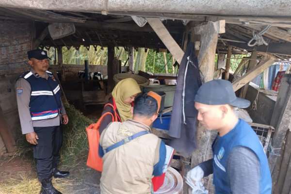Bhabinkamtibmas Polsek Bumiaji dampingi kegiatan Vaksinasi Booster PMK di wilayah Desa Punten. (ist) - Bhabinkamtibmas Polsek Bumiaji Dampingi Vaksinasi PMK Ternak Sapi Warga Desa Punten