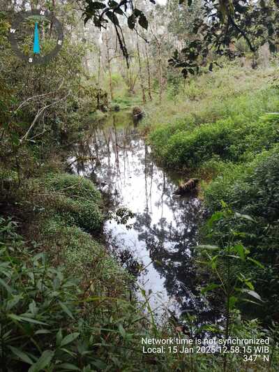 Danau Tunjung Jember Terancam Jebol, 90 Juta Meter Kubik Air Berpotensi Picu Banjir Bandang