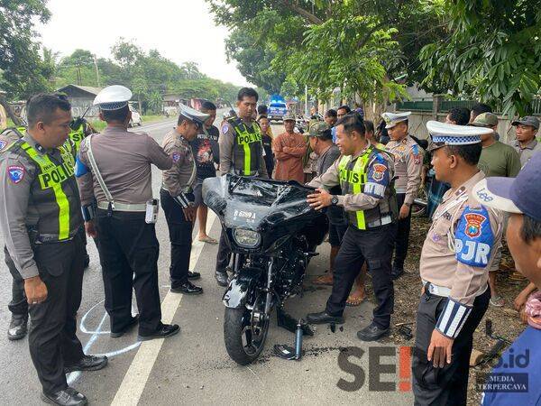 Bendahara umum DPP Partai Demokrat Meninggal Akibat Laka Lantas di Jalur Pantura Situbondo