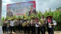 Seremonial panen raya jagung Tahap 1 di Desa Oro-oro Ombo Batu. (ist) - Dukung Ketahanan Pangan, Gugus Tugas Polri Panen Jagung Serentak Tahap I di Kota Batu
