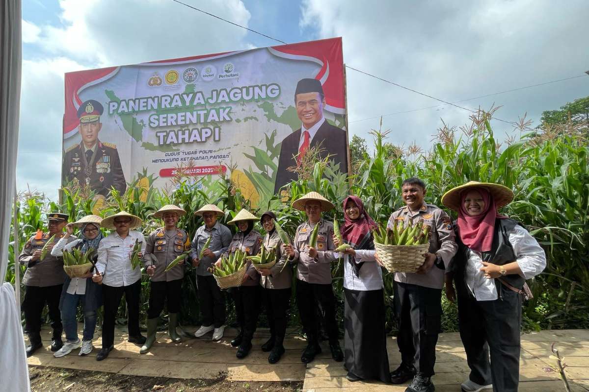Seremonial panen raya jagung Tahap 1 di Desa Oro-oro Ombo Batu. (ist) - Dukung Ketahanan Pangan, Gugus Tugas Polri Panen Jagung Serentak Tahap I di Kota Batu