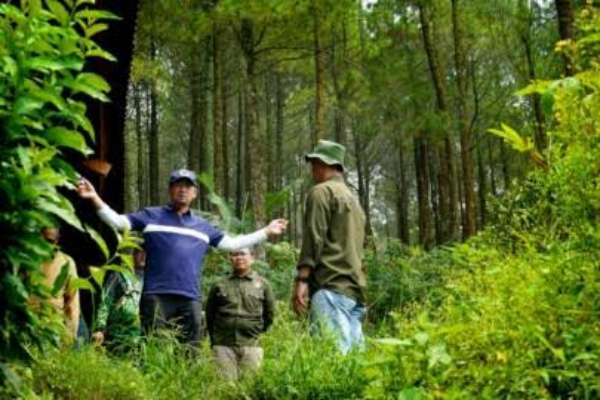 UB Forest seluas 574,44 hektare yang dikelola UB. (ist/ Prasetya UB) - Prof. Asihing Hadirkan BrawijayaSPSF, Inovasi Pengelolaan Hutan Berkelanjutan