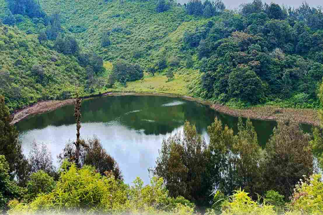 Sempat Ditutup Karena Cuaca Ekstrem, TNBTS Kembali Buka Wisata Ranu Regulo
