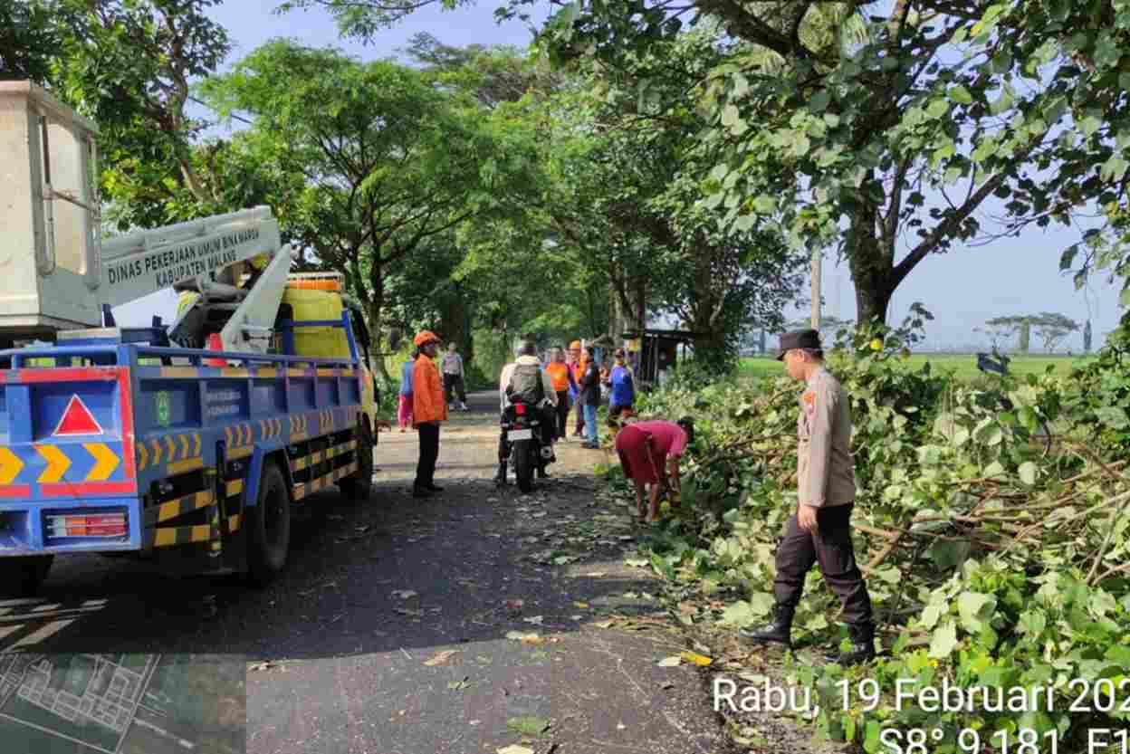 Dua Pohon Tumbang di Kabupaten Malang, Seorang Pelajar Menjadi Korban