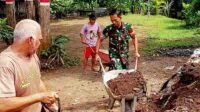 Babinsa Blimbing Bersama Warga Arjosari Kerja Bakti Pengurukan Tanah