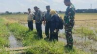 Babinsa Kedungkandang Dampingi PPL Tinjau Lokasi Pembuatan Saluran Irigasi di Buring