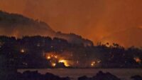 Kebakaran Hutan Terbesar dalam 30 Tahun Landa Jepang, Ribuan Warga Mengungsi