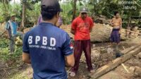 Rumah Warga Jabung Ambruk Diterjang Angin Kencang