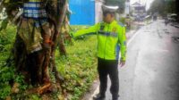 Bocah 13 Tahun di Pakisaji Tewas Tabrak Pohon Saat Berkendara