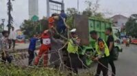 Pohon Tumbang Timpa Jamaah Salat Id di Pemalang Jawa Tengah, Dua Orang Meninggal, Belasan Luka-luka